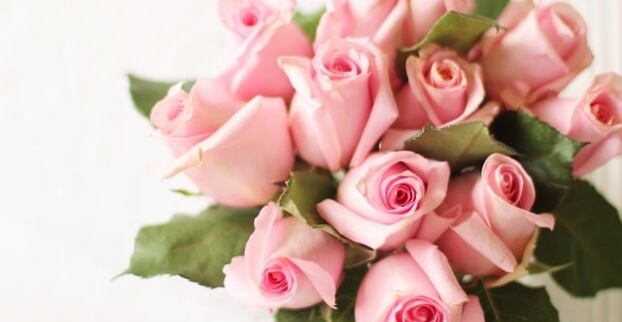 Péče o řezané květiny