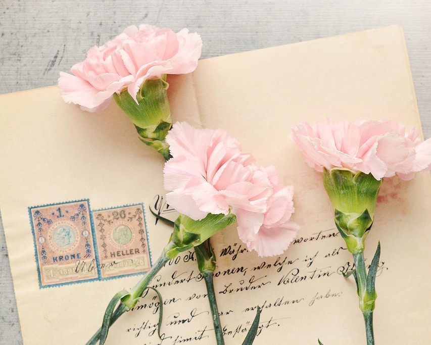 Tulipány vs. karafiáty k MDŽ – jakou květinu vybrat?