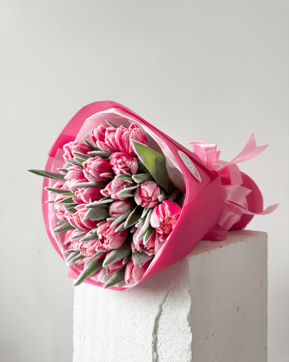 Kytice zasněžených pivoňkových tulipánů