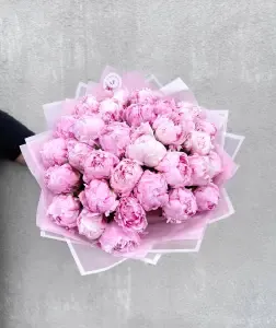 Kytice růžových pivoněk 31ks