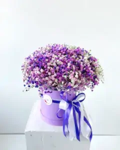 Flower Box s fialovou gypsofilou