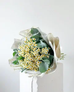 Kytice heřmánku s eukalyptem