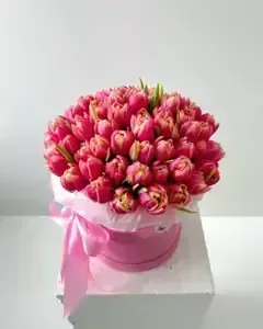 Flower Box Pivoňkových růžových tulipánů