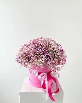 Flower Box s gypsofilou růžová a fialová