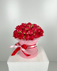 Flower Box Pivoňkových červených tulipánů