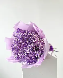 Kytice z gypsofily fialová