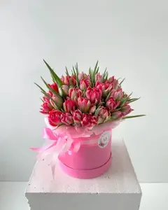 Flower Box Pivoňkových růžovo bílých tulipánů