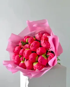 Kytice korálových pivoněk 