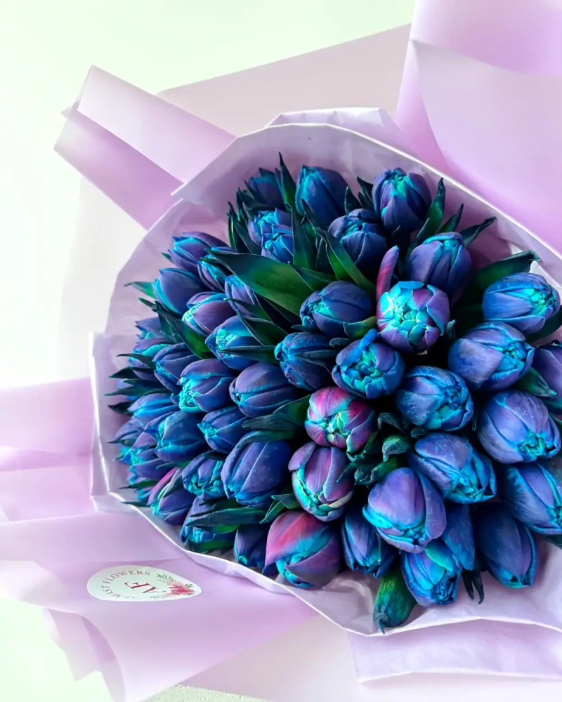 Kytice pivoňkových modrých vesmírných tulipánů