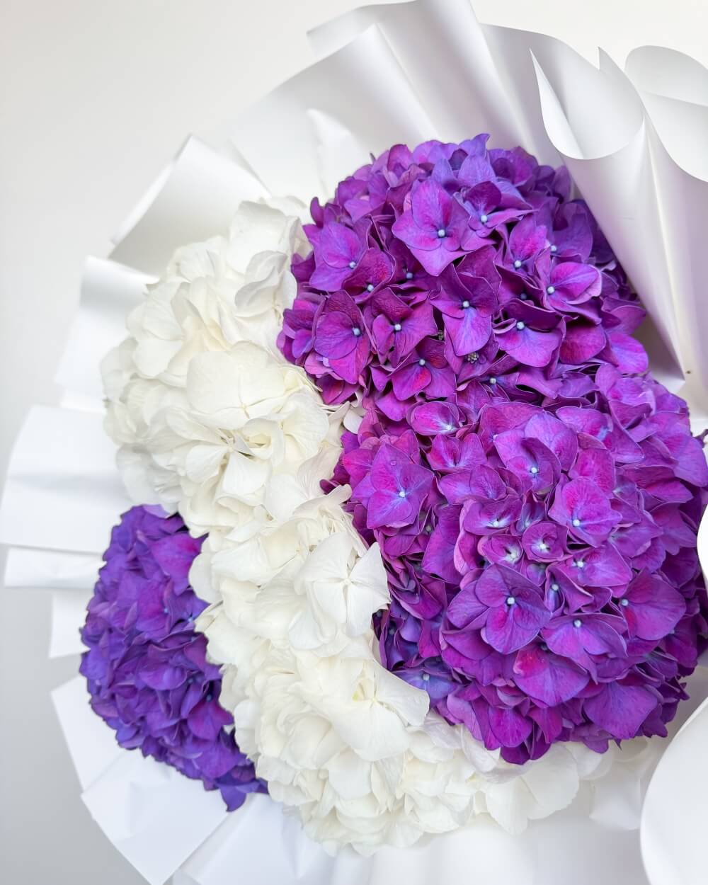 Kytice hortenzií #1 bílá a fialová