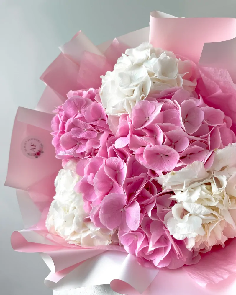 Kytice hortenzií #3 bílá a růžová