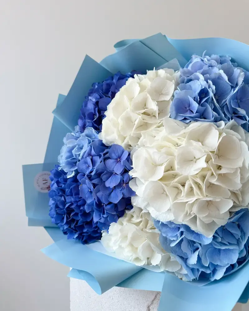 Kytice hortenzií #4 bílá a modrá