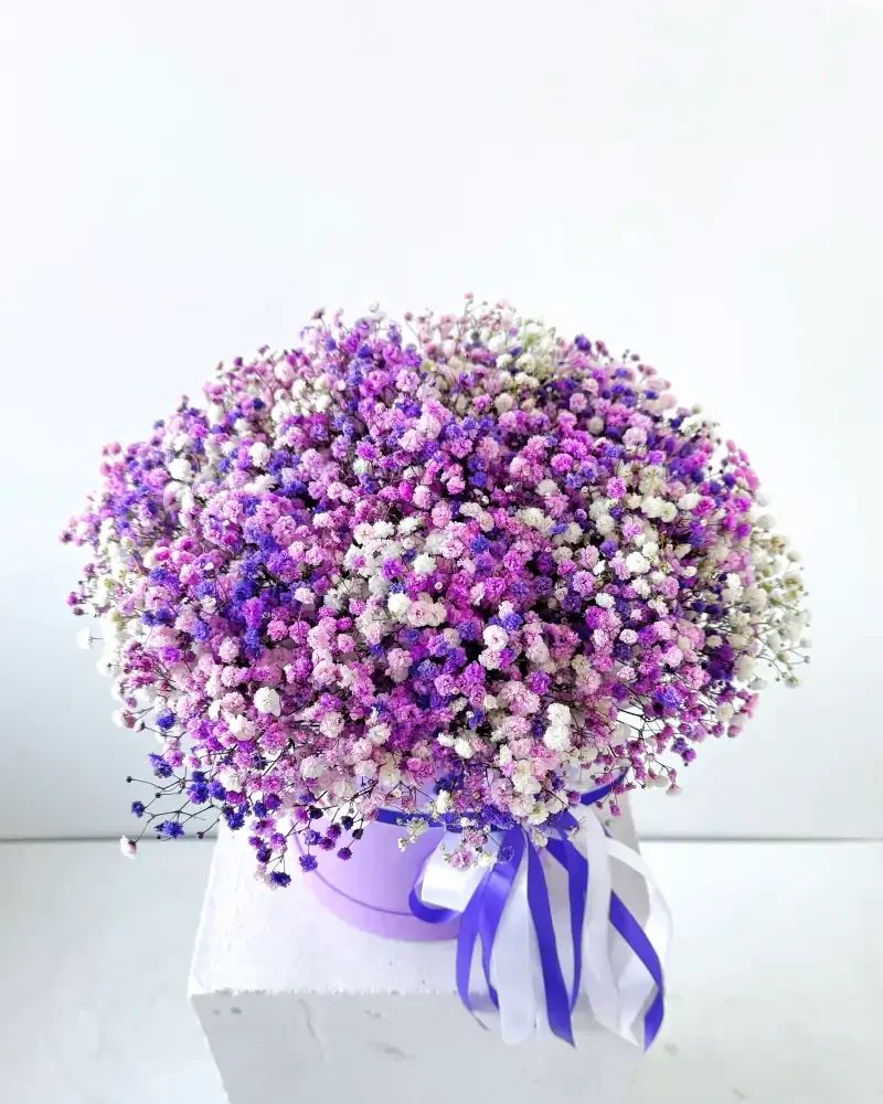 Flower Box s fialovou gypsofilou