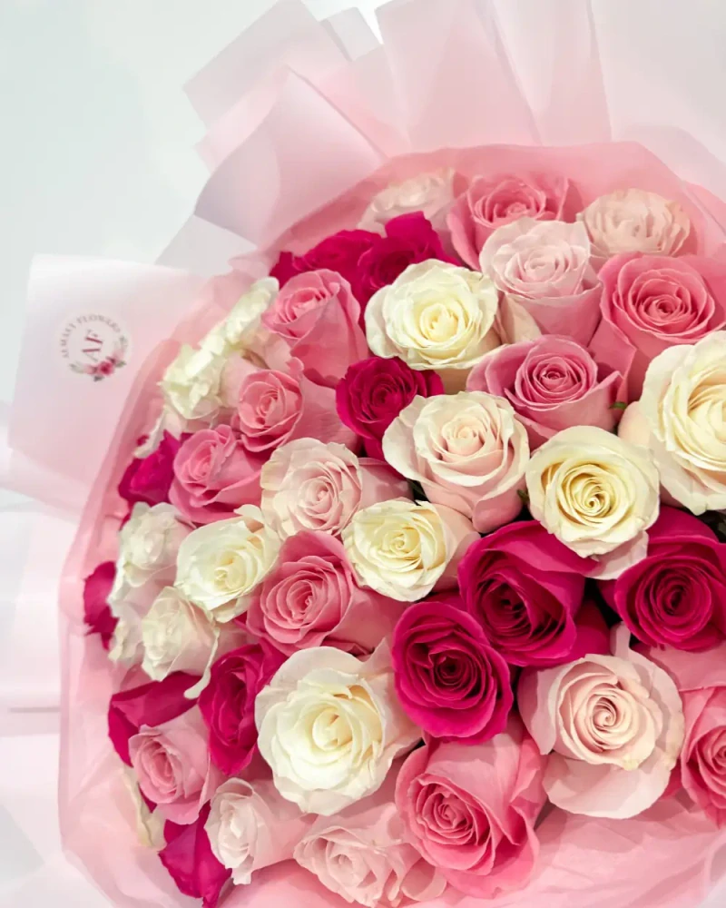 Kytice 51 růžových a bílých růží 70cm