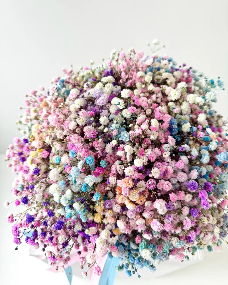 Flower Box s gypsofilou mix barev