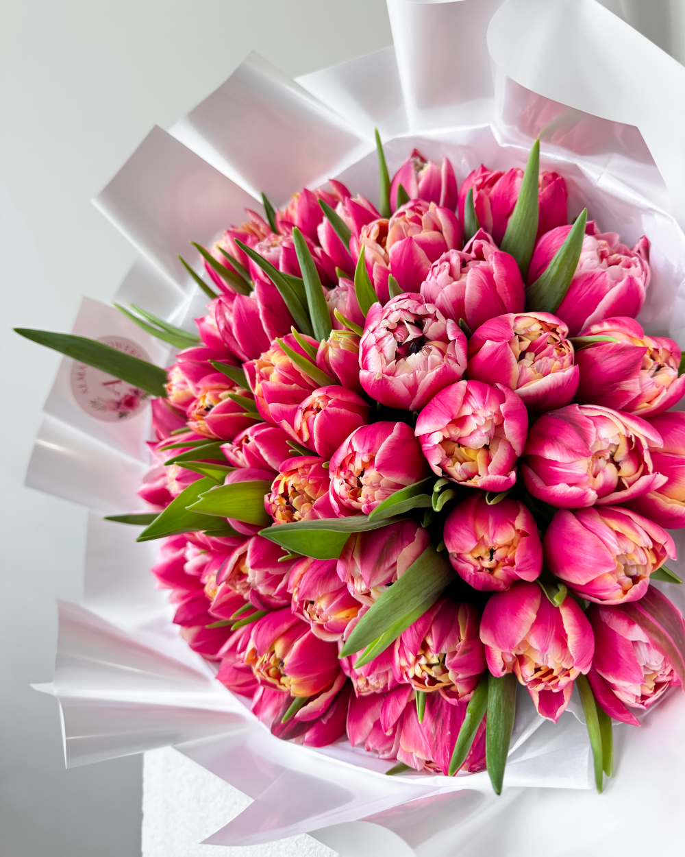 Kytice pivoňkových růžových tulipánů