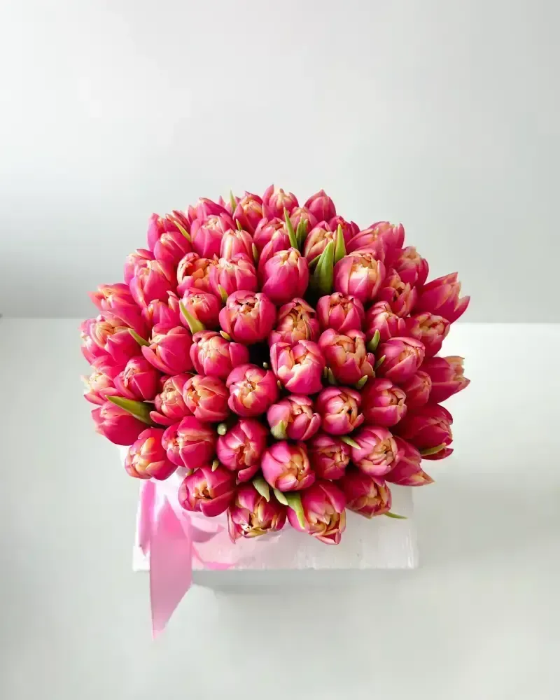 Flower Box Pivoňkových růžových tulipánů