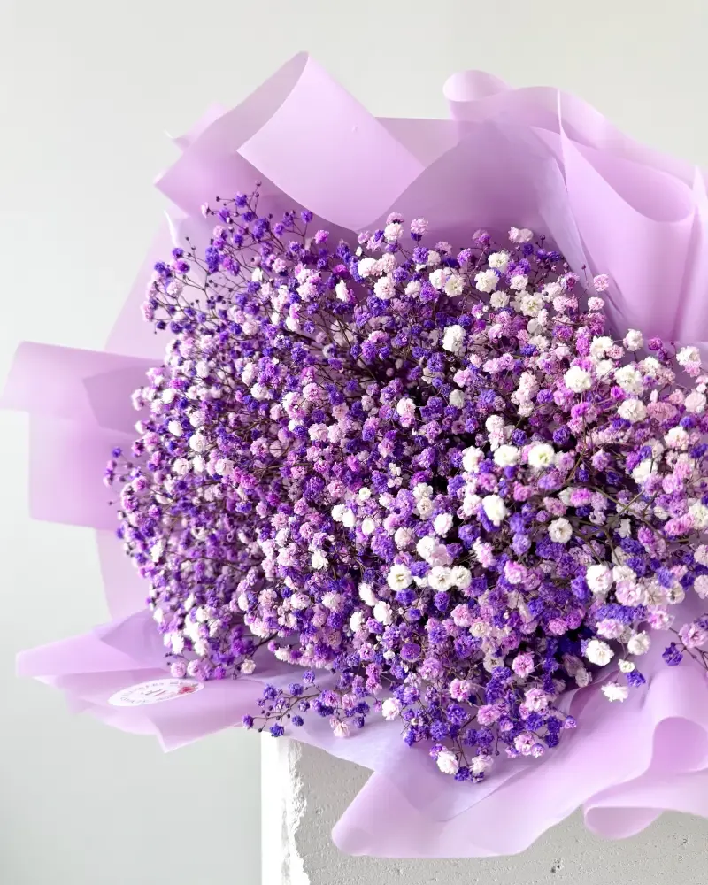 Kytice z gypsofily fialová