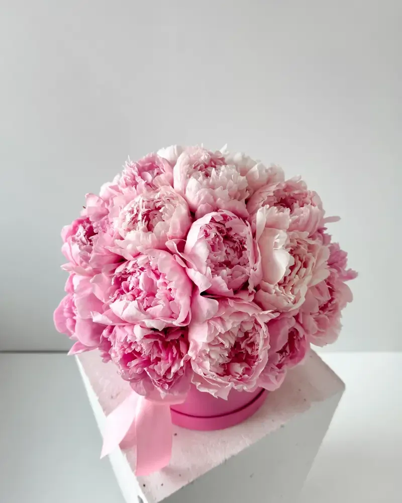 Flower Box s růžovými pivoňkami