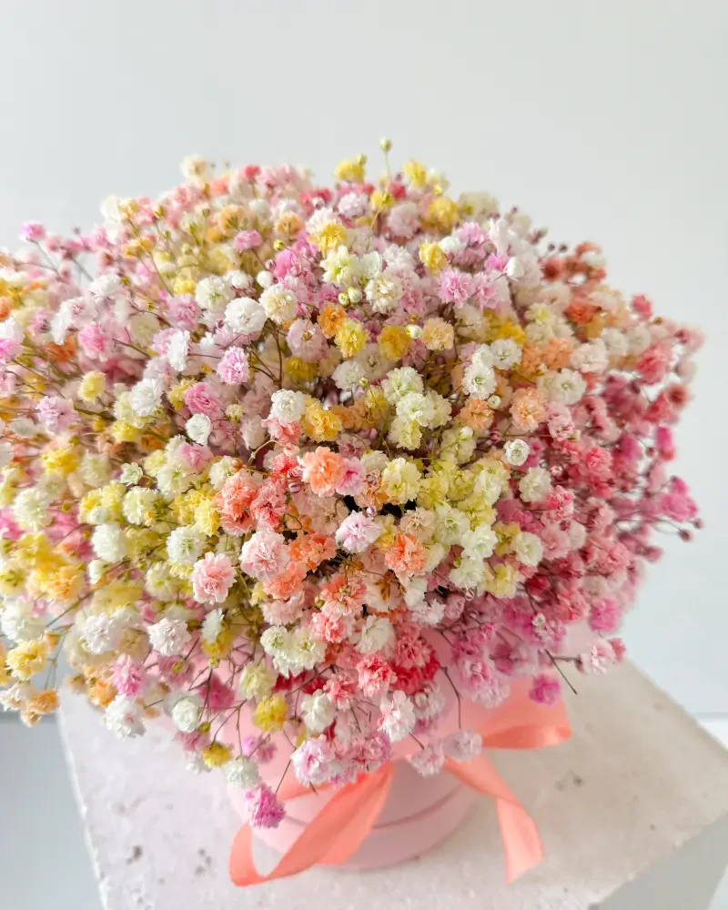 Flower Box s podzimní barevnou gypsofilou 