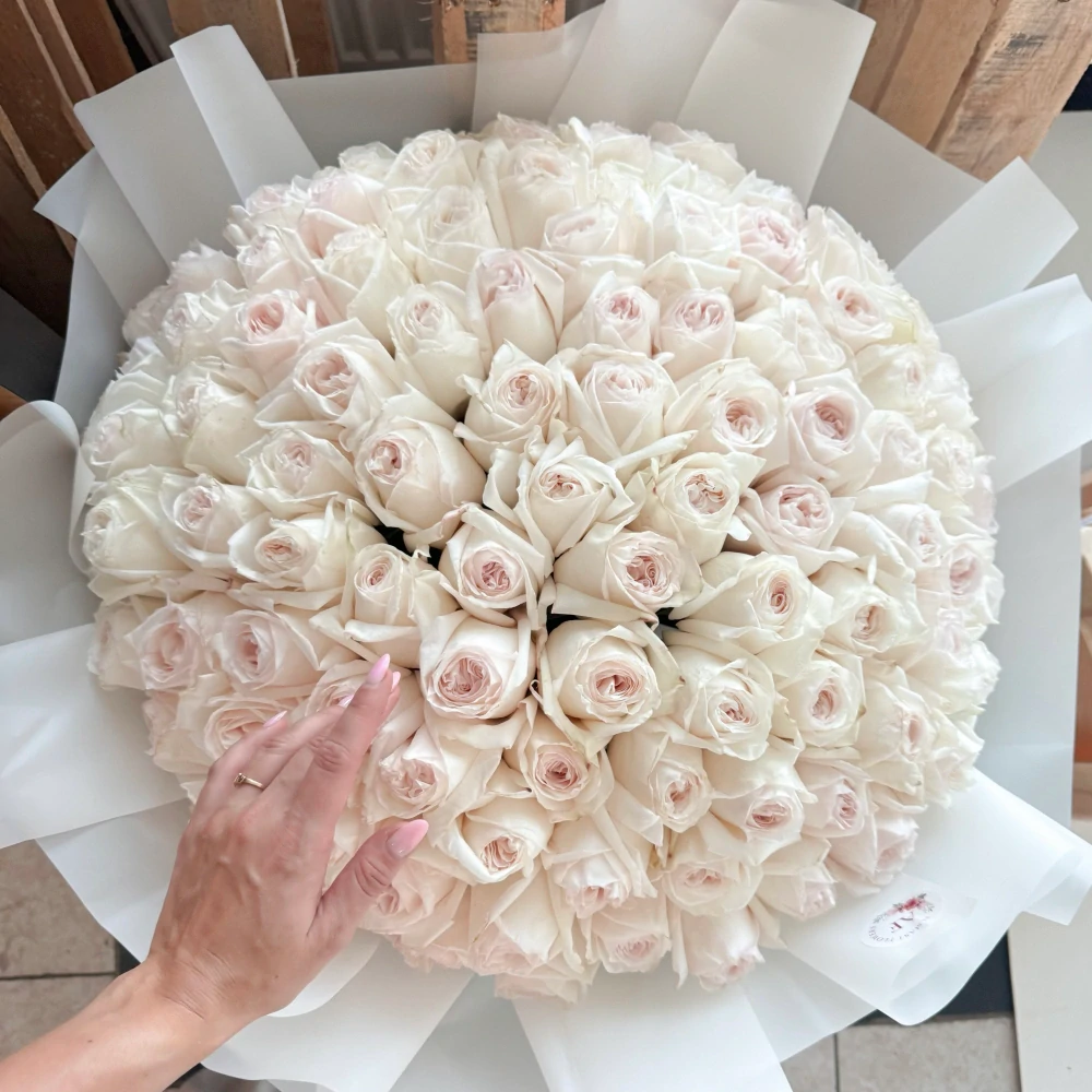 Kytice bílých pivoňkových růží