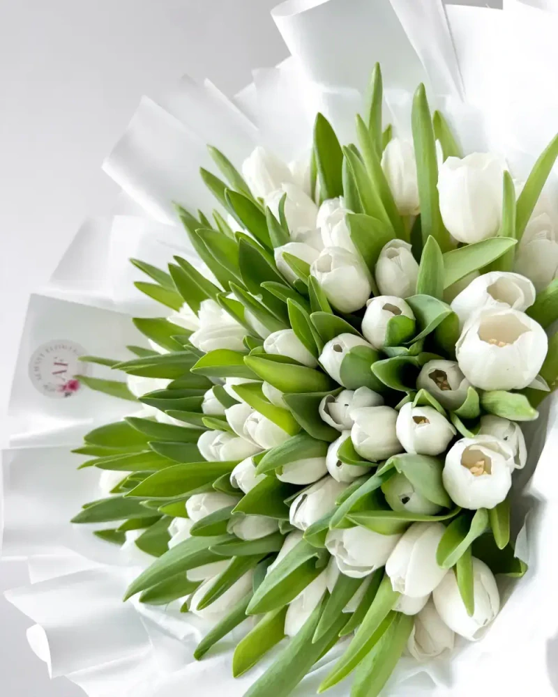 Kytice bílých tulipánů