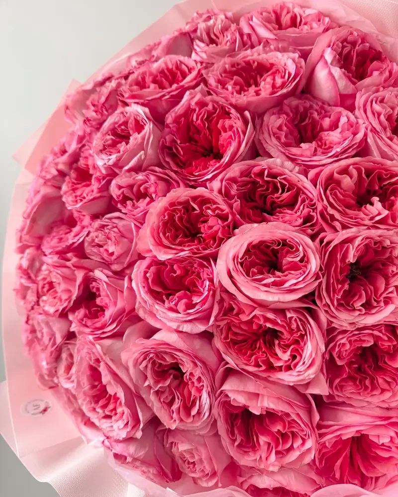 Kytice 51 růžových pivoňkových růží