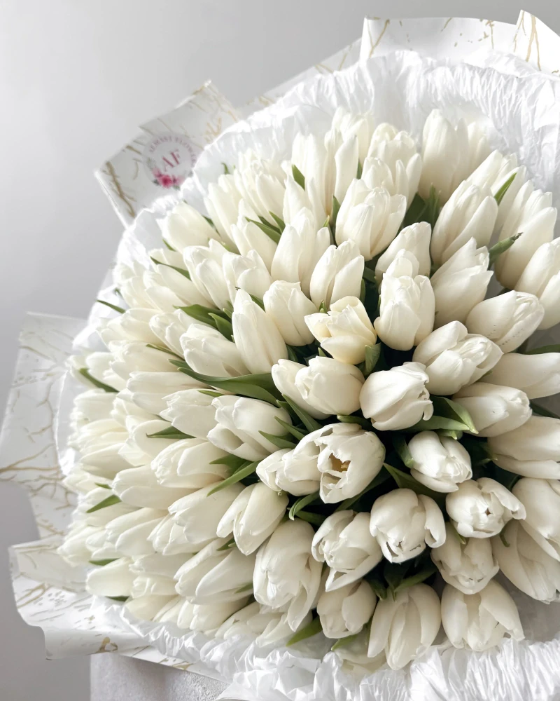 Kytice 101 bílých tulipánů