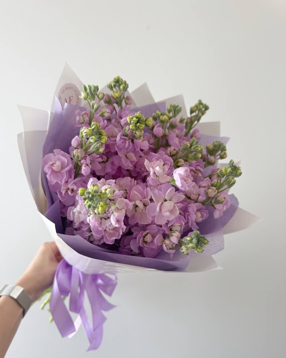 Kytice fialových matthiol