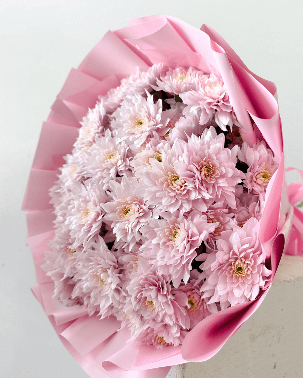 Kytice růžových trsových chryzantém