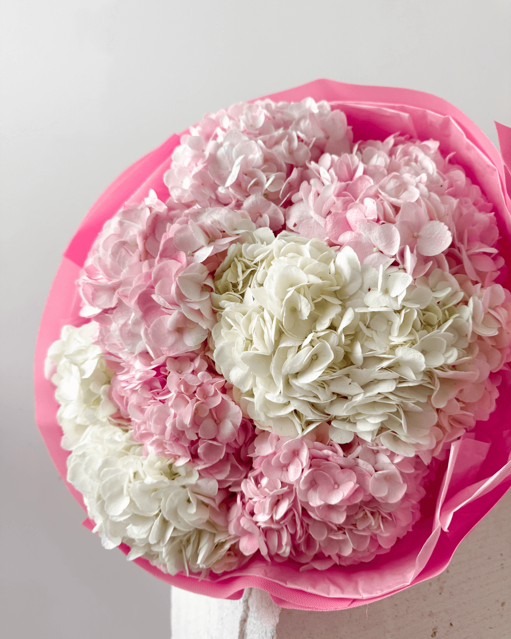 Kytice bílých hortenzií a růžových hortenzií