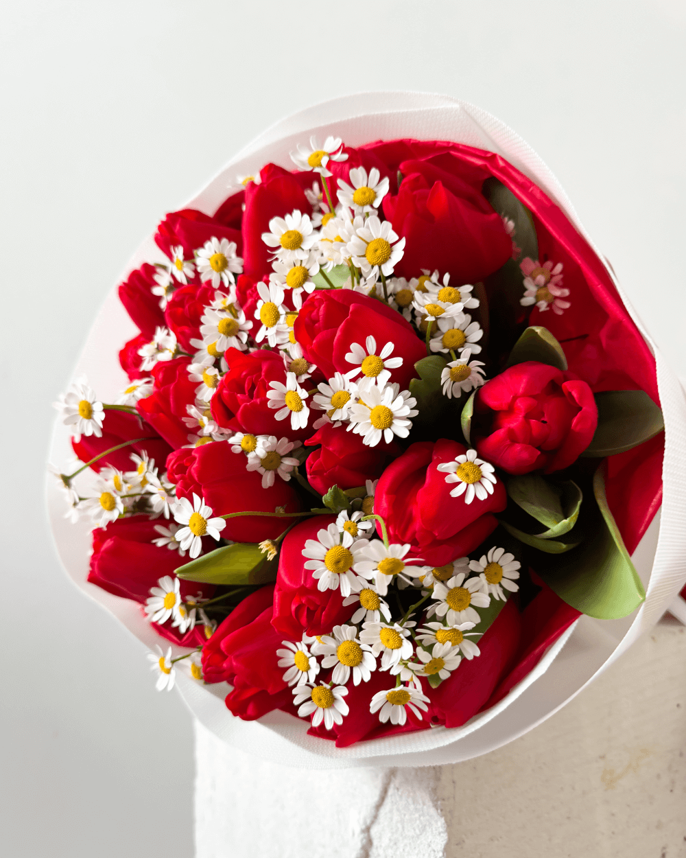 Kytice červených tulipánů s heřmánkem