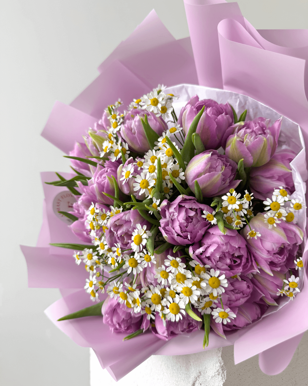 Kytice pivoňkových fialových tulipánů s heřmánkem