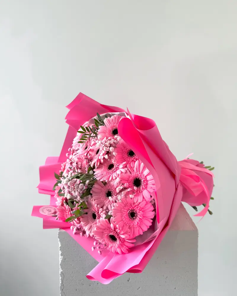 Kytice pro milovníky Gerber