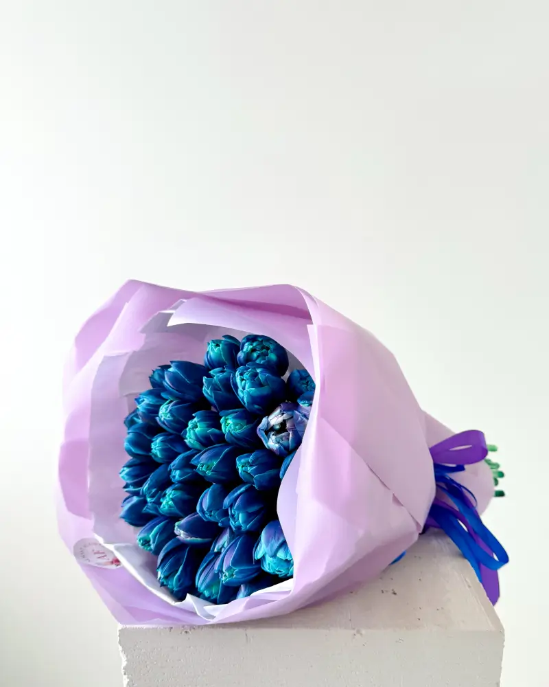 Kytice pivoňkových modrých vesmírných tulipánů