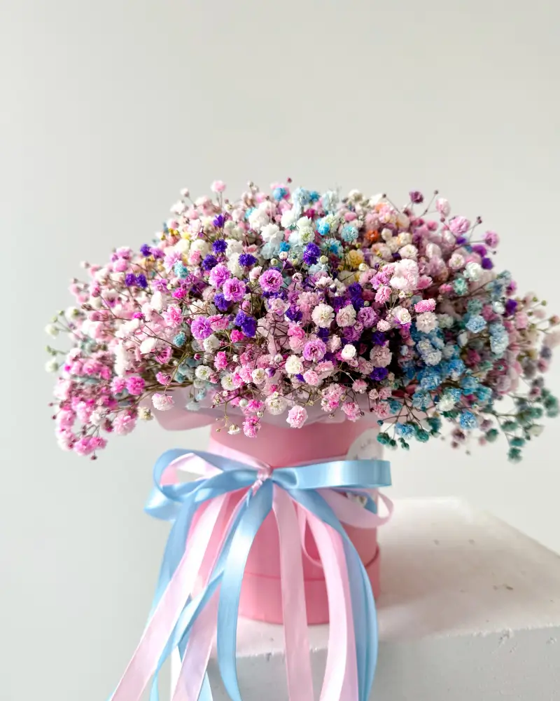 Flower Box s gypsofilou mix barev