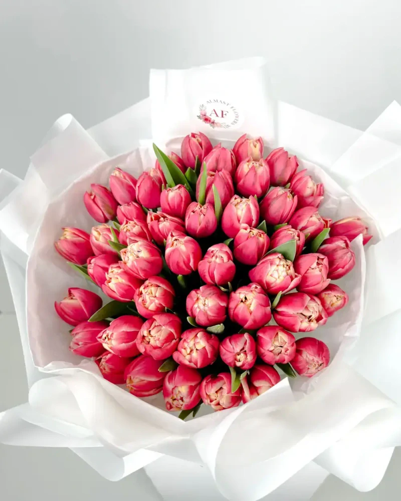 Kytice pivoňkových růžových tulipánů