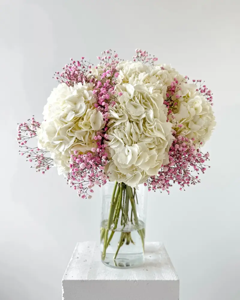 Kytice bílých hortenzií s růžovou gypsofilou