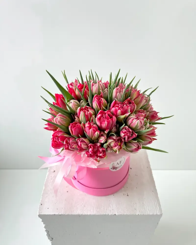 Flower Box Pivoňkových růžovo bílých tulipánů