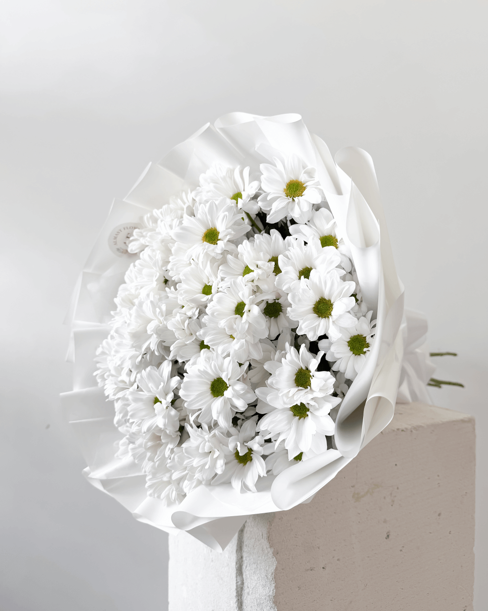 Kytice bílých trsových chryzantém