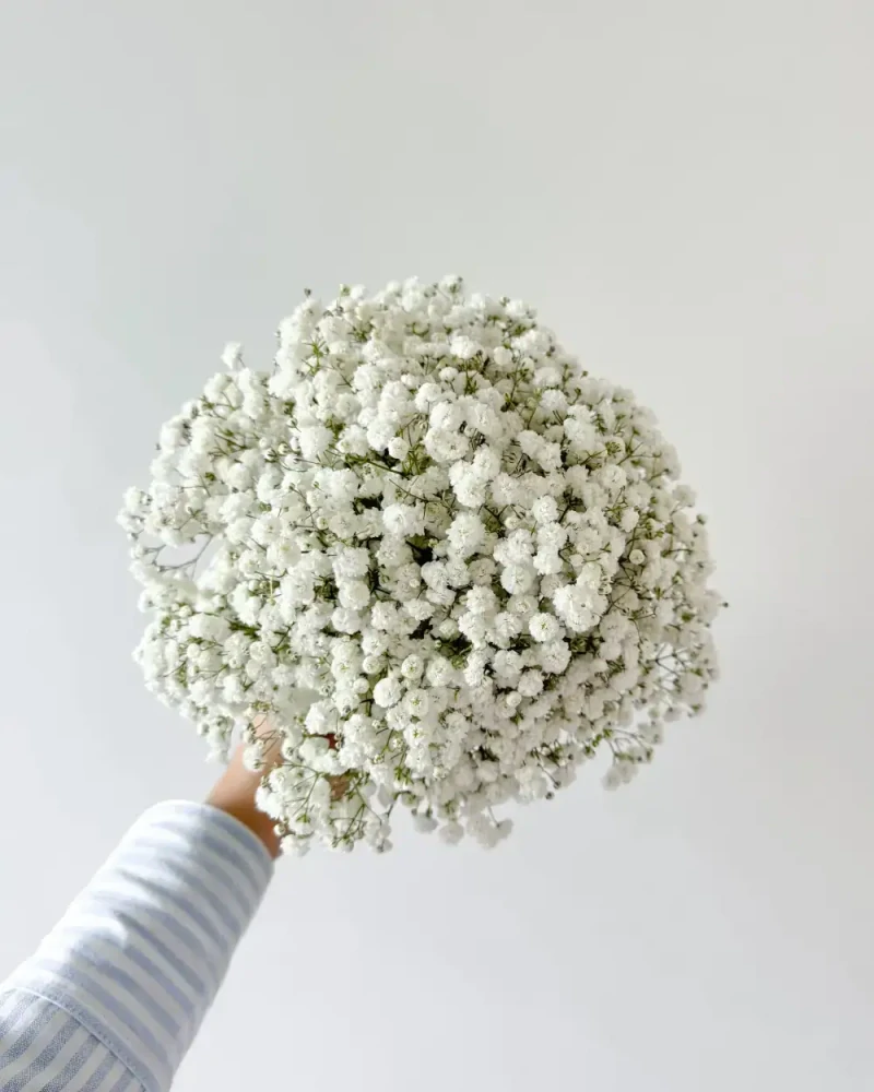 Svatební kytice z bílé gypsofily