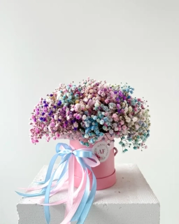 Flower Box s duhovou gypsofilou mix barev