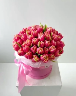 Flower Box Pivoňkových růžových tulipánů