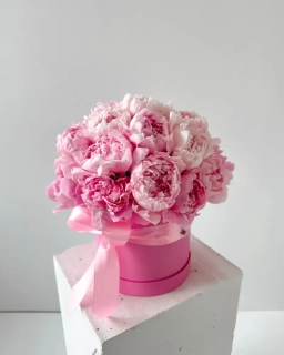 Flower Box s růžovými pivoňkami